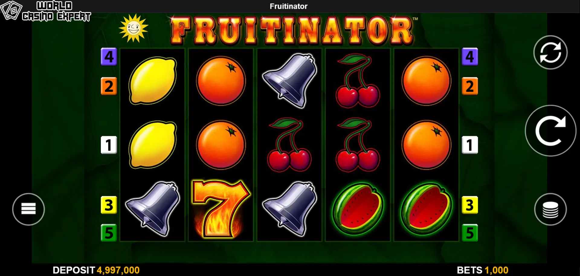 How to play the Slot Fruitinator?