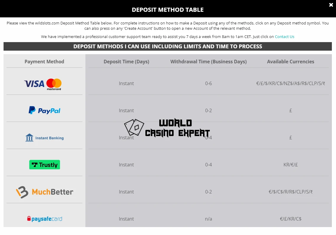 Deposit & Withdrawal Methods of WildSlots | World Casino Expert