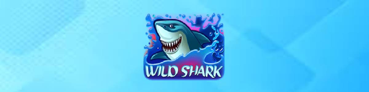 Wild Shark