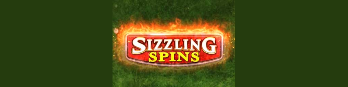 Sizzling Spins